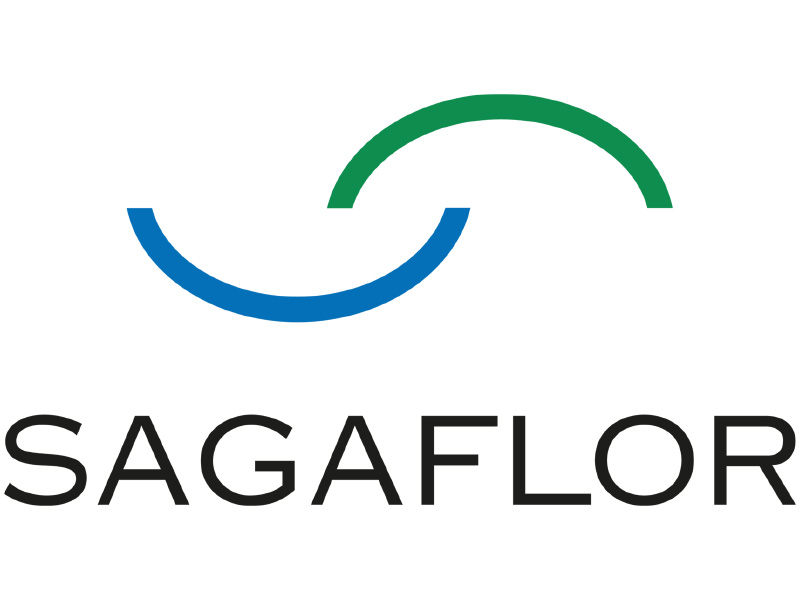 Gründung Aktiengesellschaft
