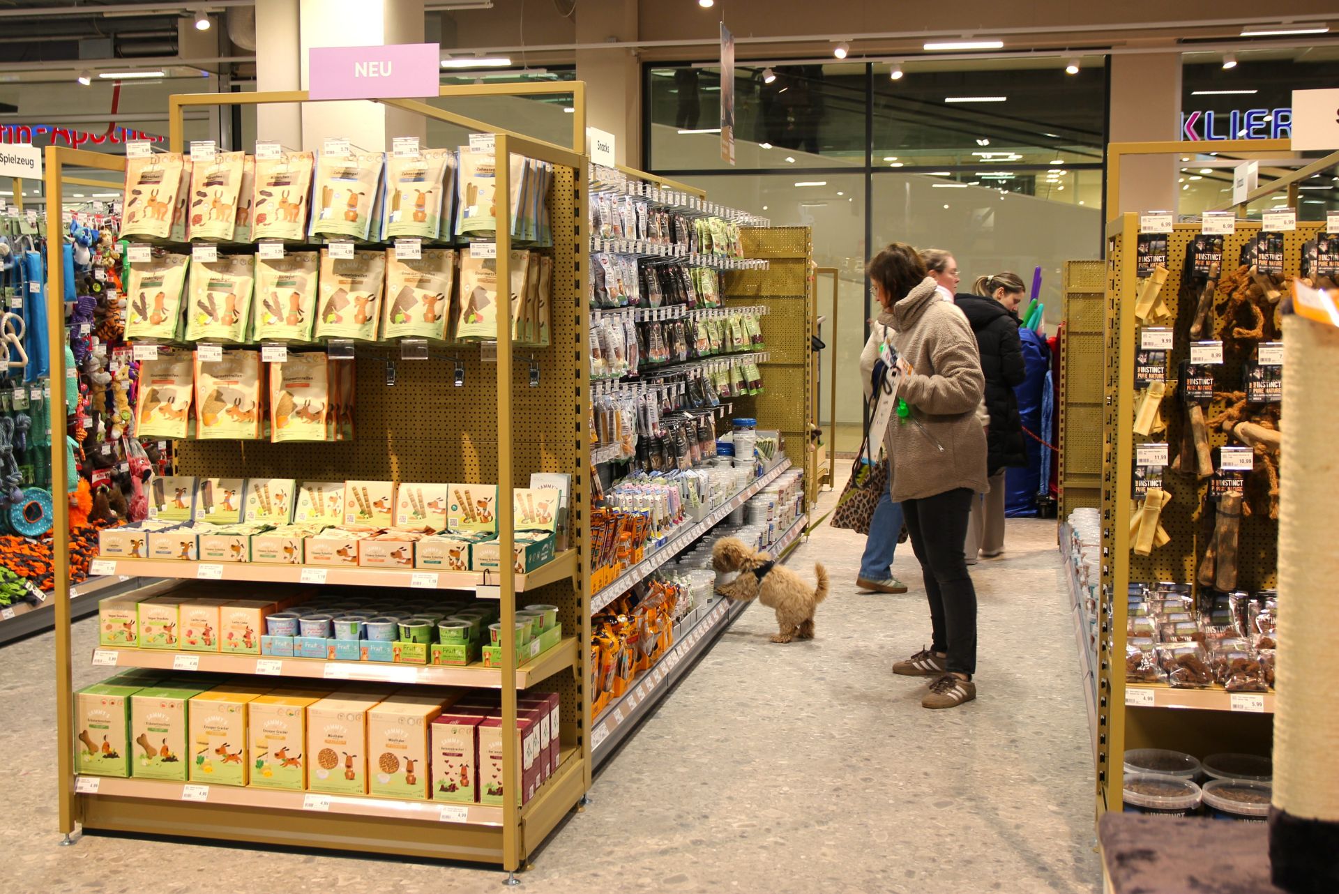 Ein Hund entdeckt die Ware von ZOO & Co. Bremen